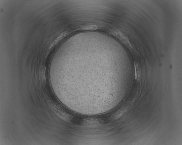 X0000077320300200611031712