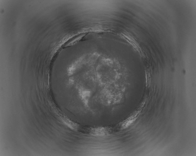 X0000077320301200611031712