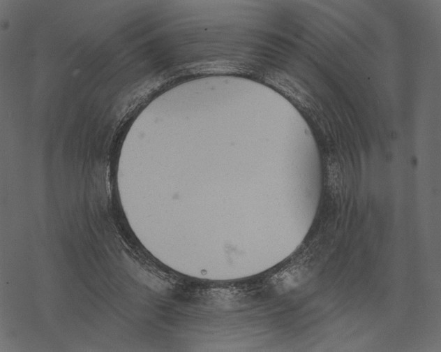 X0000077320302200611031712