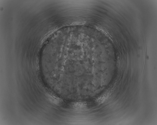 X0000077320303200611031712