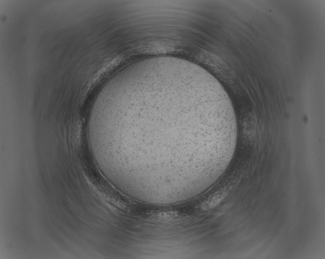 X0000077320304200611031712