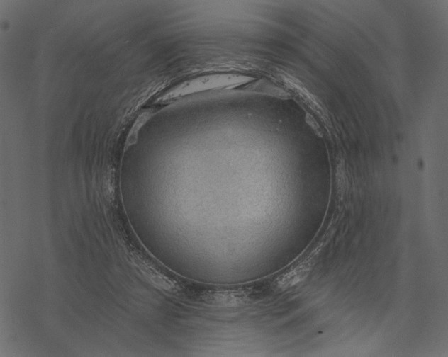 X0000077320305200611031712