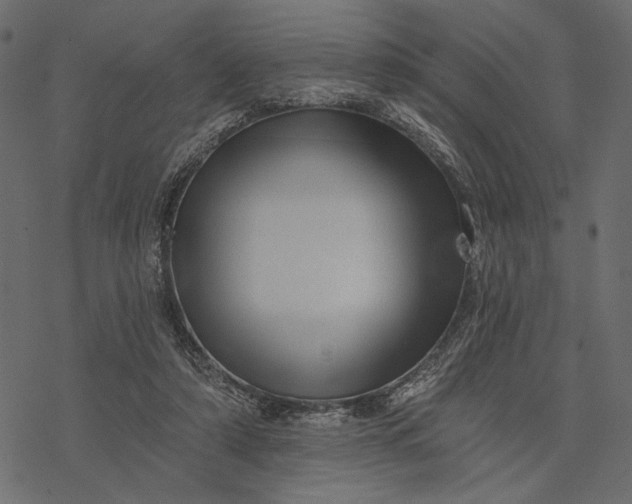 X0000077320306200611031712