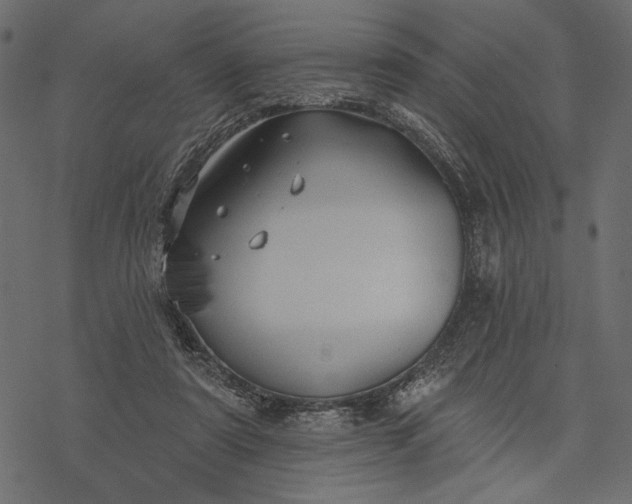 X0000077320307200611031712