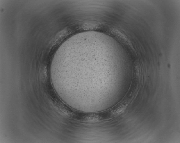 X0000077320308200611031712