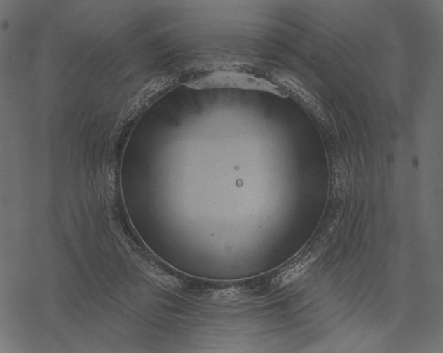 X0000077320309200611031712