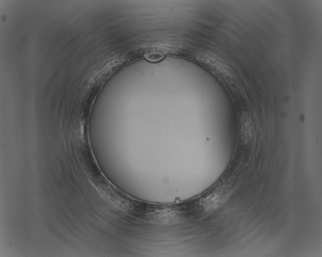 X0000077320310200611031712