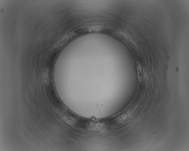 X0000077320311200611031712