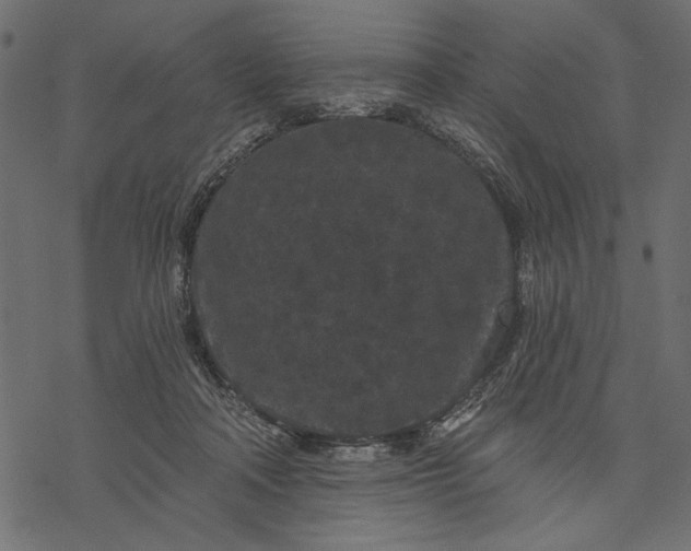 X0000077320314200611031712