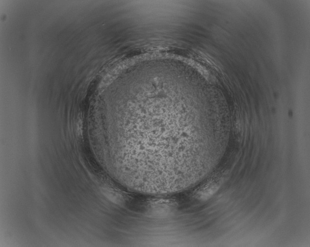 X0000077320315200611031712