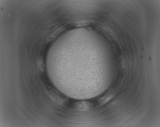 X0000077320316200611031712