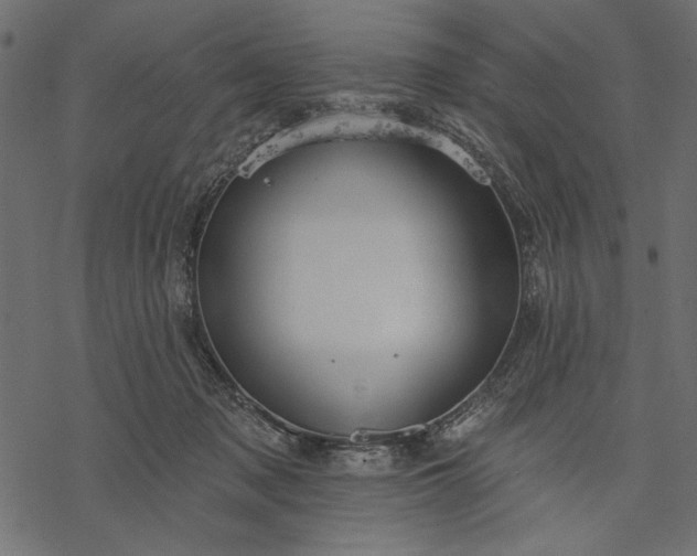 X0000077320317200611031712