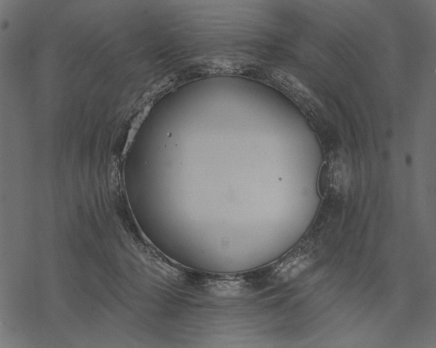 X0000077320318200611031712