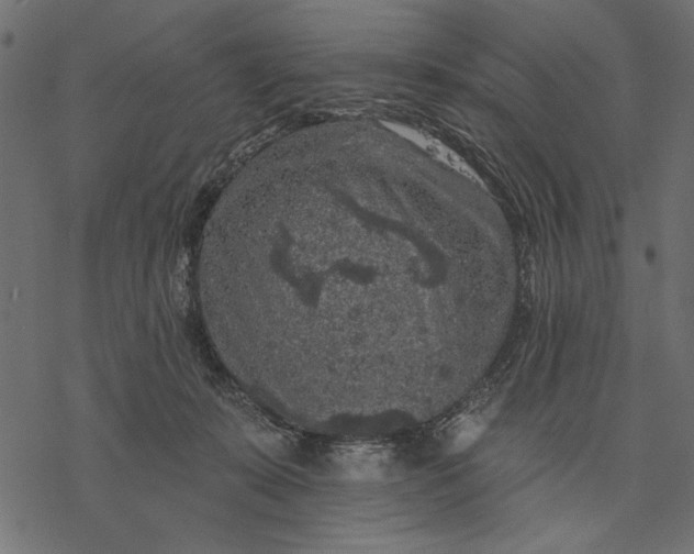 X0000077320319200611031712