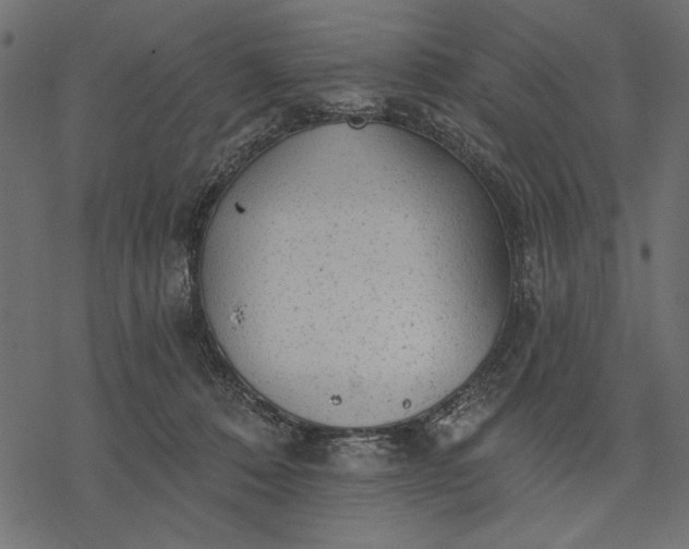 X0000077320320200611031712