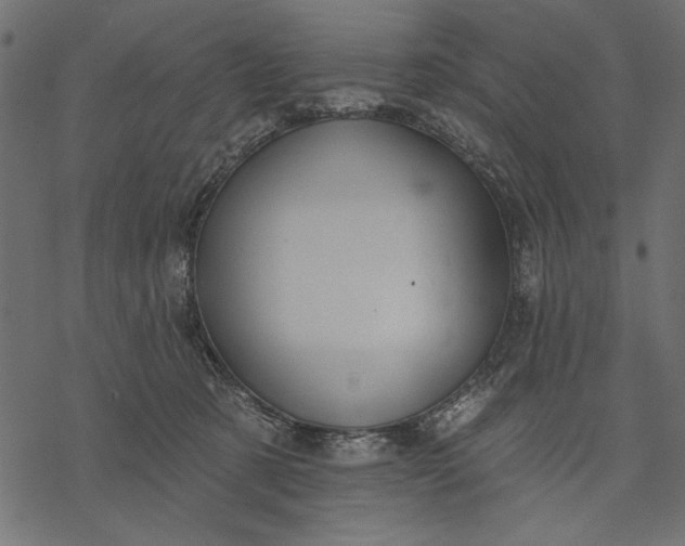 X0000077320321200611031712