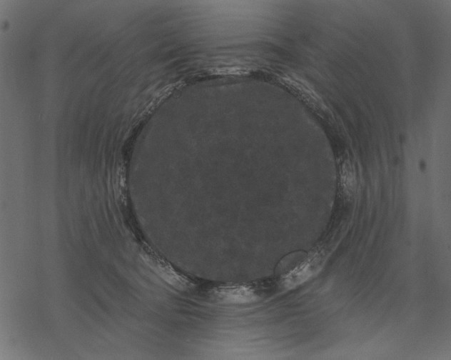 X0000077320322200611031712