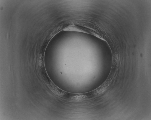 X0000077320323200611031712