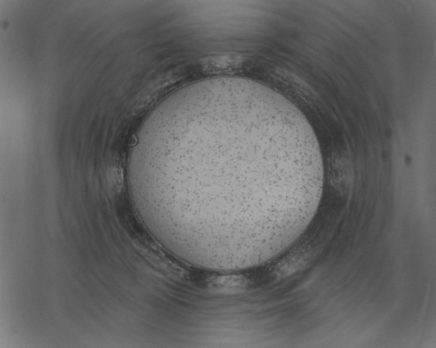 X0000077320324200611031712