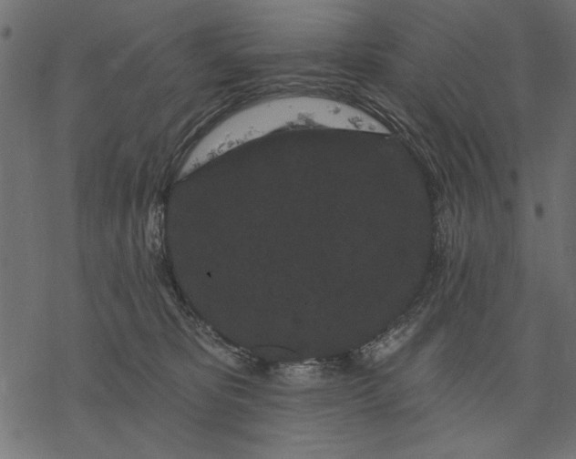 X0000077320325200611031712