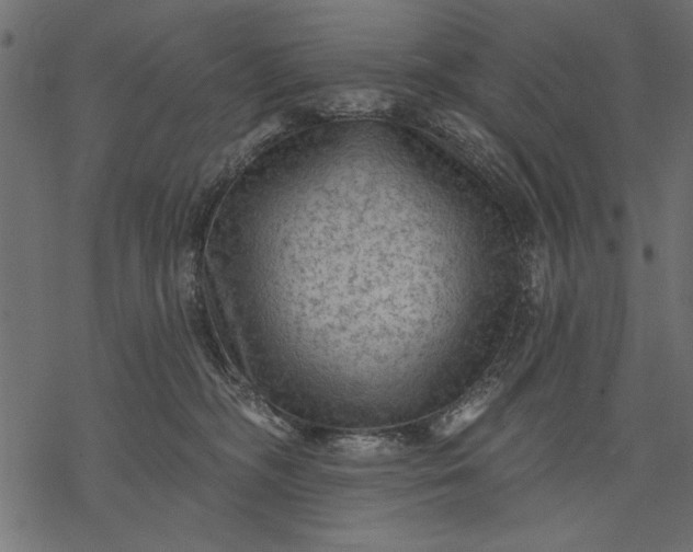 X0000077320326200611031712