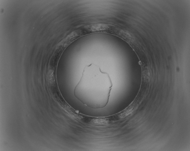 X0000077320327200611031712