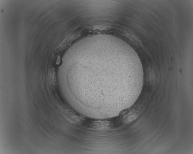 X0000077320328200611031712