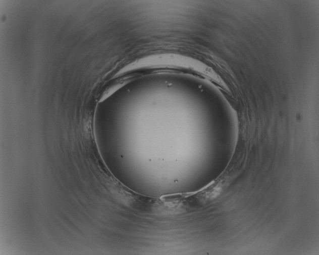 X0000077320329200611031712