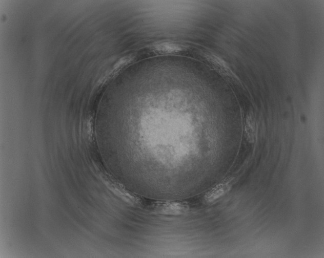 X0000077320330200611031712