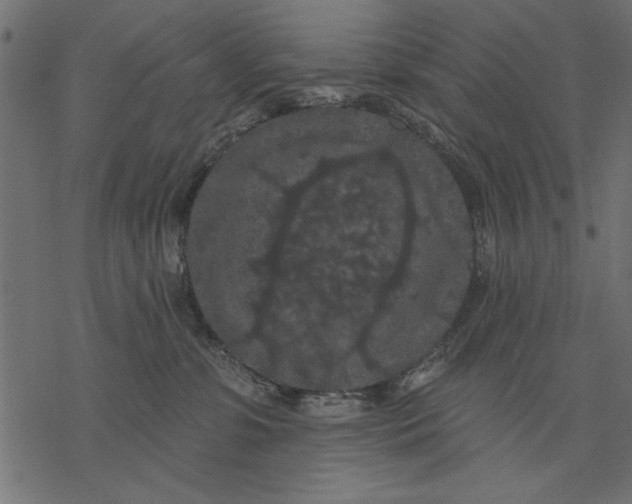 X0000077320331200611031712