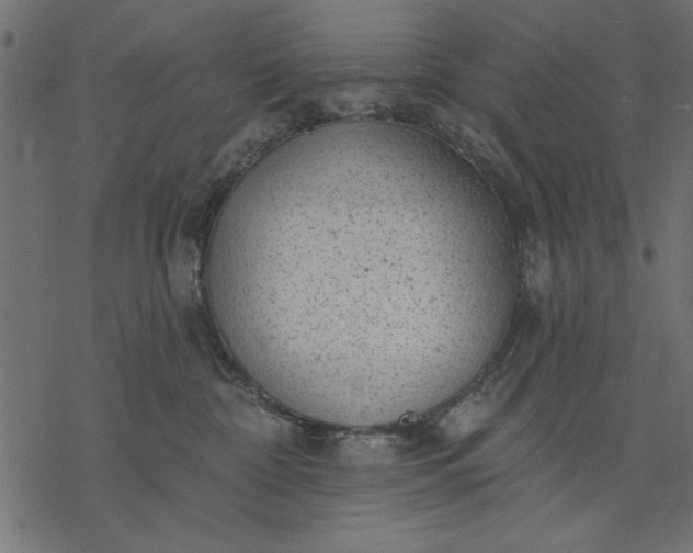 X0000077320332200611031712