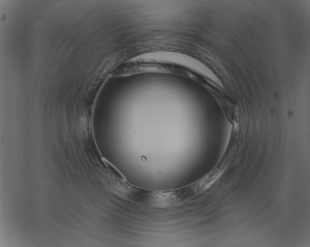 X0000077320333200611031712