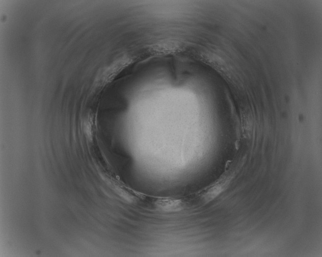 X0000077320334200611031712