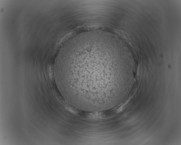 X0000077320335200611031712