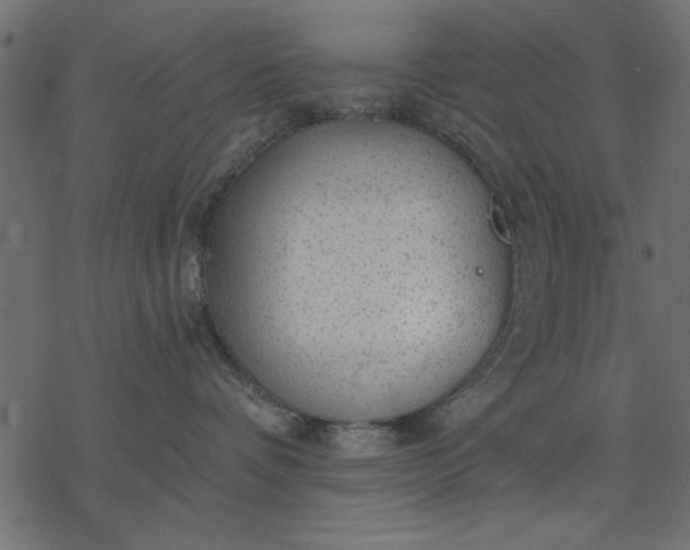 X0000077320336200611031711