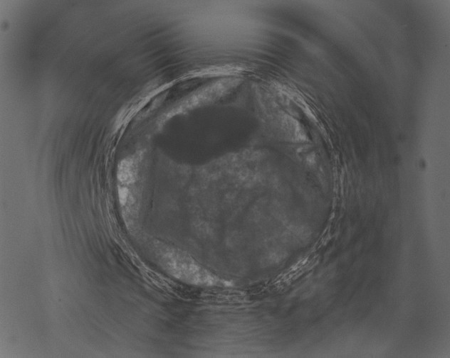 X0000077320337200611031711