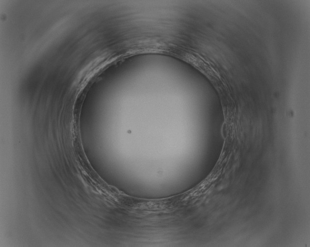 X0000077320338200611031711