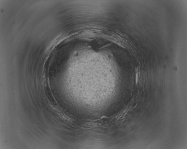 X0000077320339200611031711