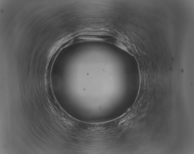 X0000077320340200611031711