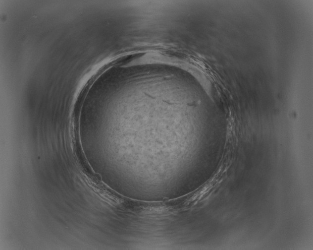 X0000077320342200611031711