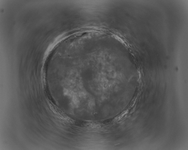 X0000077320343200611031711