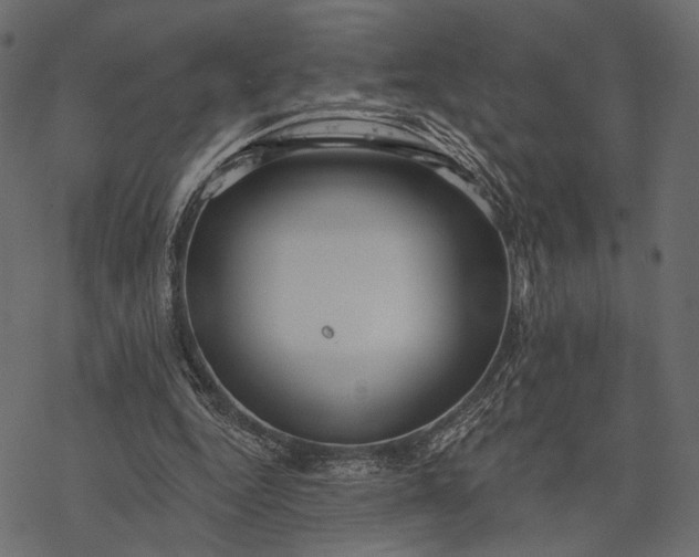 X0000077320344200611031711