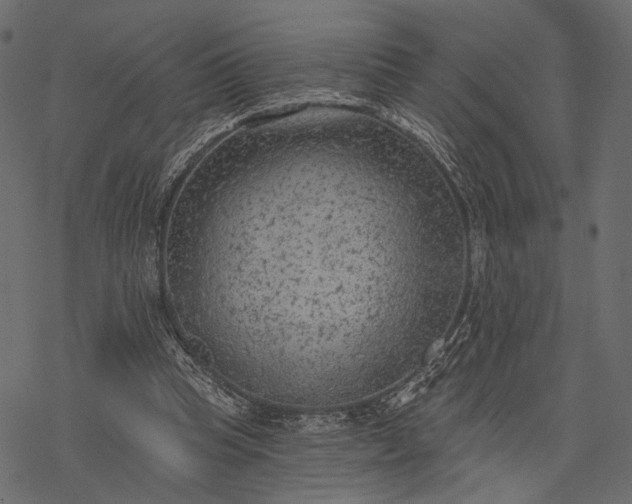 X0000077320345200611031711