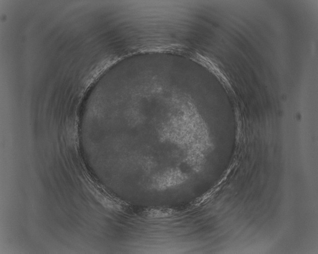 X0000077320346200611031711