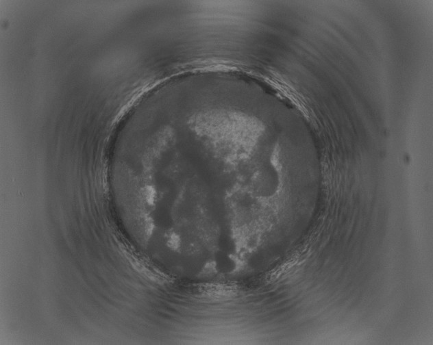 X0000077320347200611031711