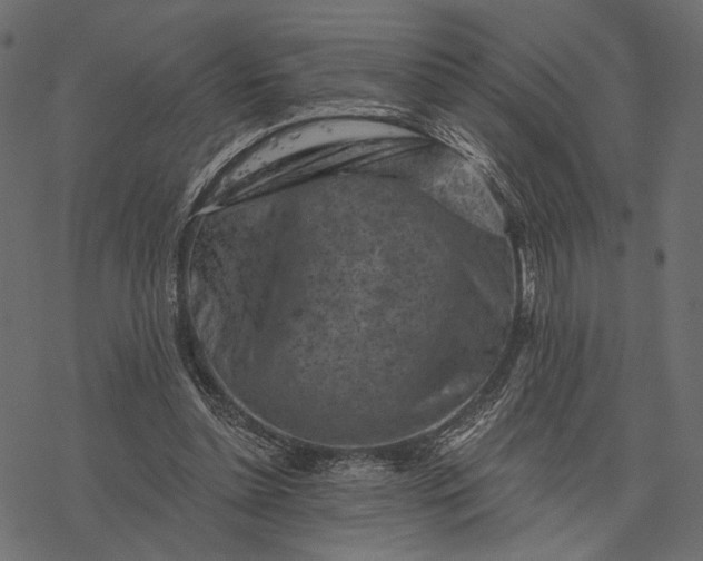 X0000077320348200611031711