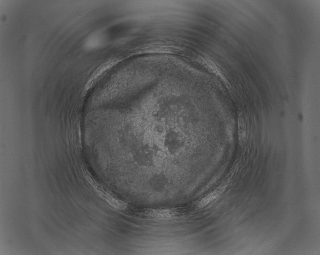 X0000077320349200611031711