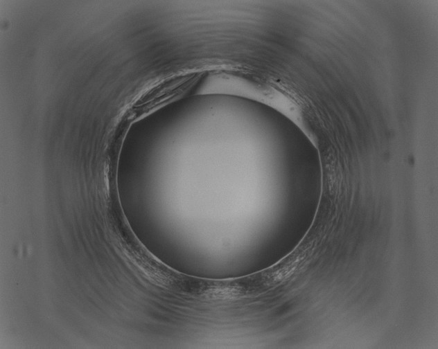 X0000077320350200611031711