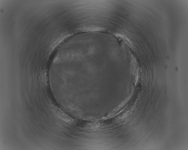 X0000077320351200611031711