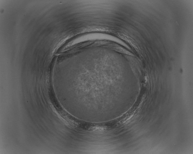 X0000077320352200611031711